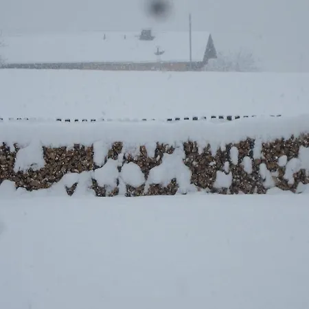 Schusterhof Appartamento Innsbruck