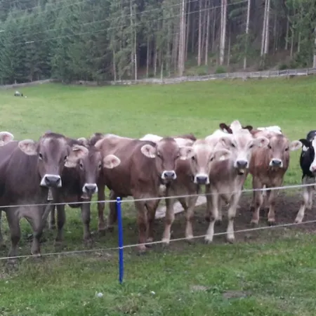 Schusterhof Διαμέρισμα Ίνσμπρουκ