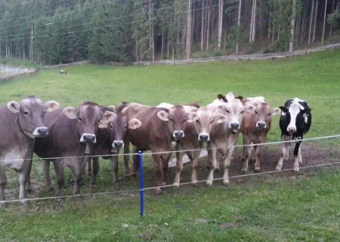 Schusterhof شقة إنسبروك