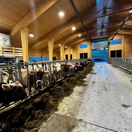 Schusterhof Апартаменти *