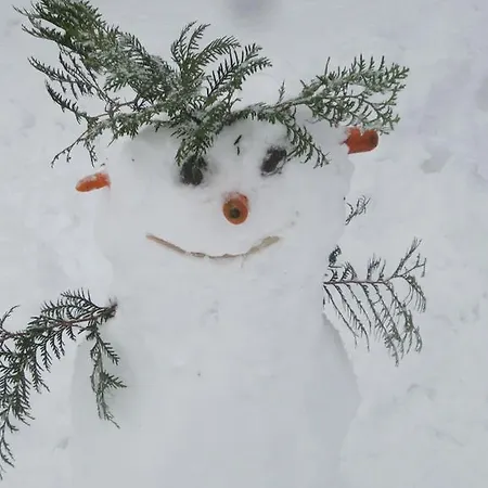 Schusterhof Apartamento Innsbruck