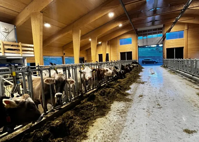 Schusterhof Lägenhet *